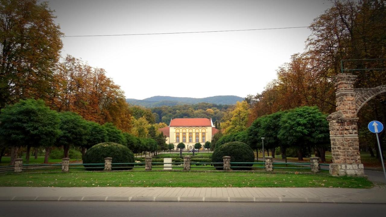 Dijamant Appartement Banja Koviljača Buitenkant foto